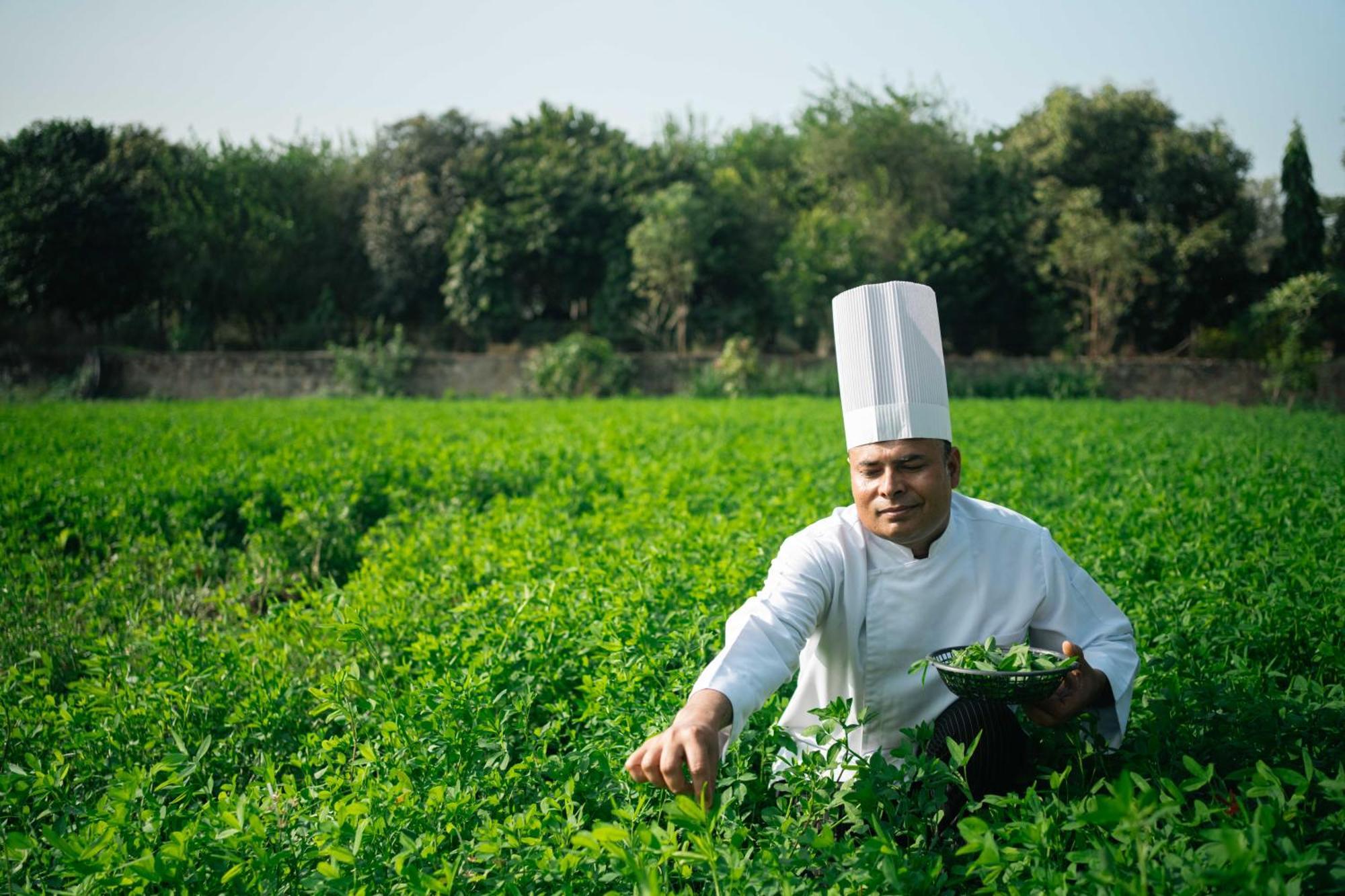Abhyaran Resort & Spa Ranthambore Sawai Madhopur Eksteriør billede