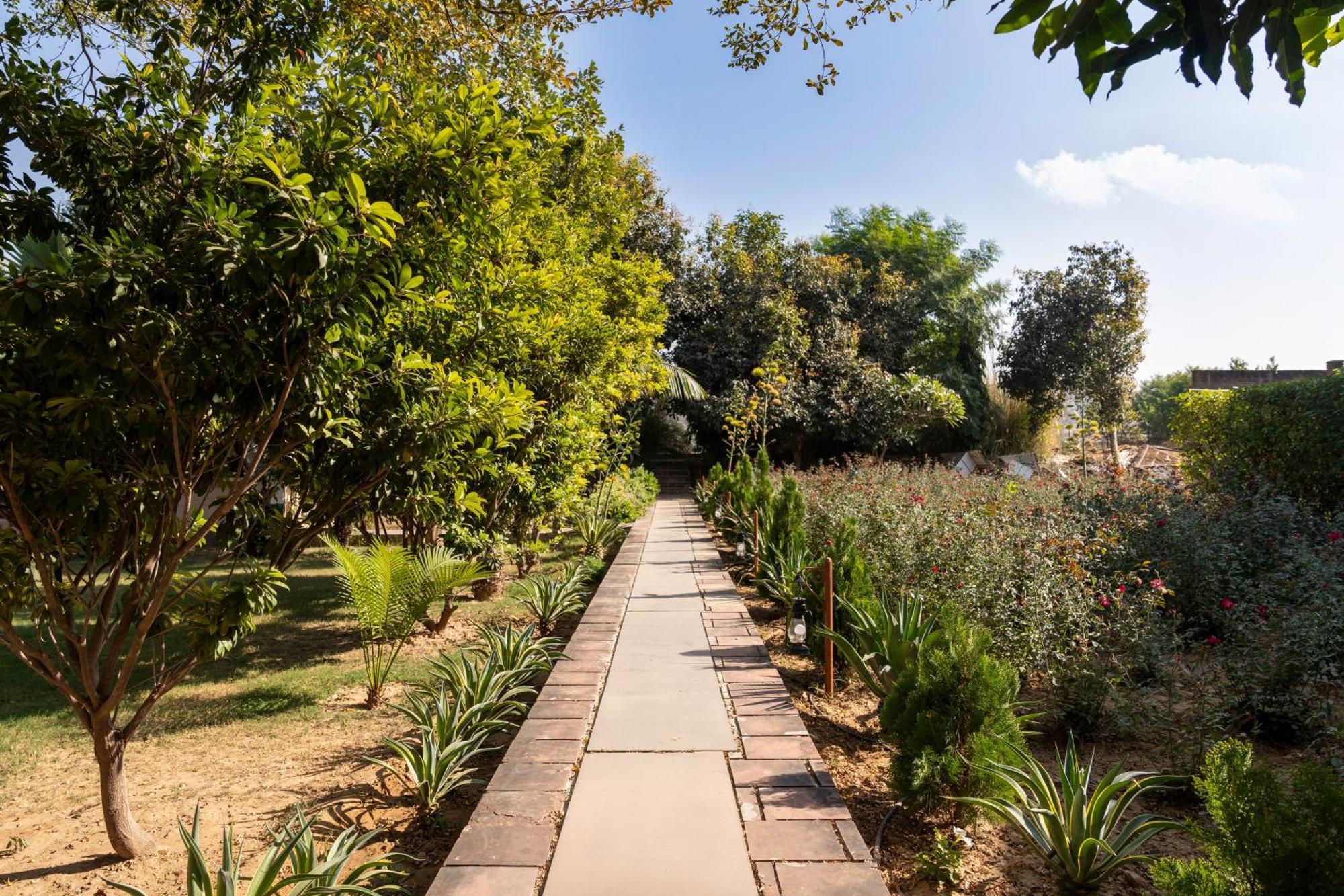 Abhyaran Resort & Spa Ranthambore Sawai Madhopur Eksteriør billede